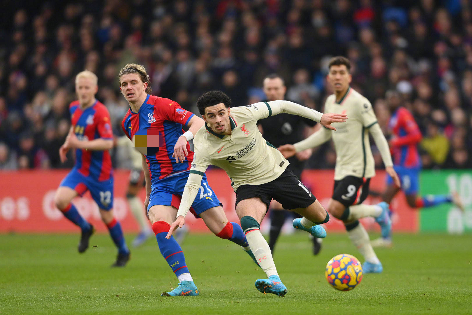 出现在最后 出现在最后